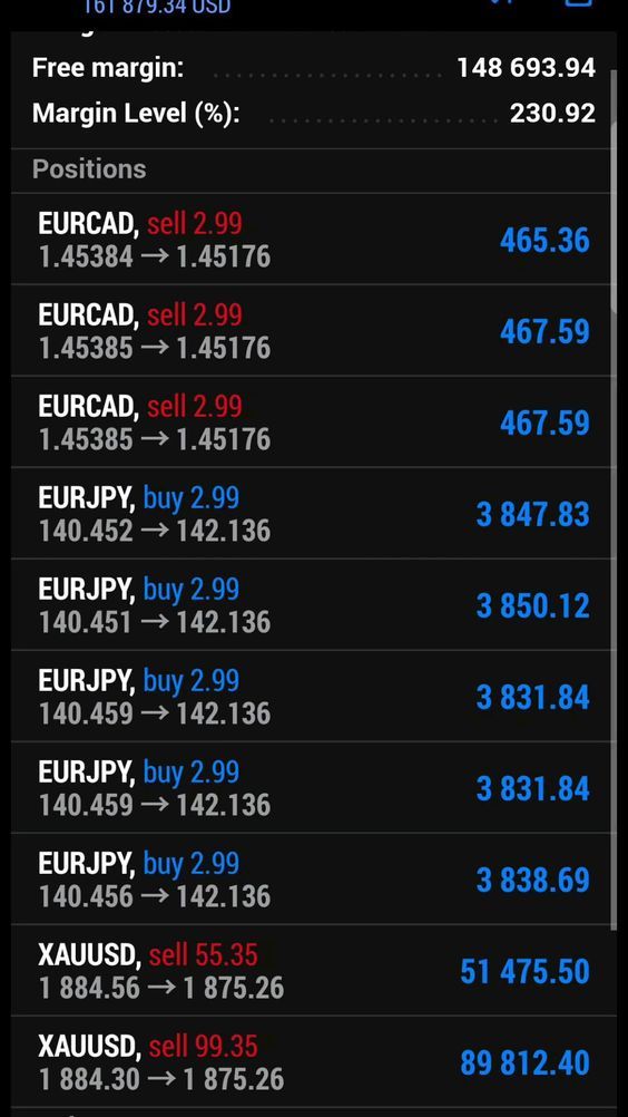 Trading result 13 — verified trading results from a The Trader Labs student